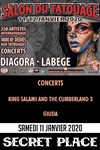 Pass Samedi : Convention de tatouage Toulouse - 