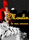 Moulin de mes amours - 