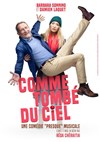 Comme tombé du ciel - 