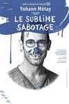 Yohann Métay dans Le Sublime Sabotage - 