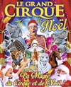 Le Grand Cirque de Noël à Dijon - 