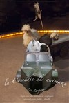 La comédie des animaux - 