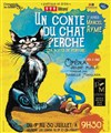 Un conte du Chat Perché - 