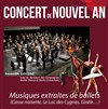 Concert du Nouvel An - 