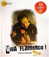 Ronald Radford - Viva Flamenco ! - 