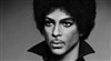 Echoes of a legend | A Tribute to Prince - 