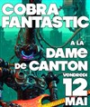 Cobra Fantastic - 