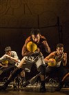 Compagnie Käfig / Quatuor Debussy : Boxe Boxe Brasil - 