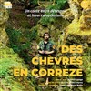 Des chèvres en Corrèze - 