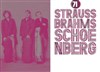 Strauss / Brahms / Schoenberg - 