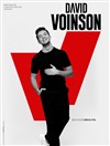 David Voinson - 