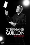 Stéphane Guillon dans C'est merveilleux quand ça se passe bien ! - 