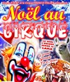 Noël au Cirque 2014 - 