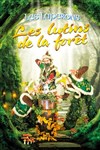 Les Lutins de la forêt - 