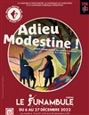 Adieu, Modestine ! - 