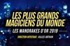 Les Mandrakes d'Or | 2019 - 