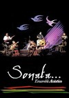 Ensemble Acústico Sonata - 