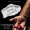 Autobiographie d'une Clowne - 