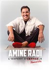 Amine Radi dans L'expert humoriste - 