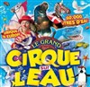 Le Cirque sur l'Eau | - Calvi - 