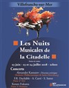 Les Nuits Musicales de la Citadelle - Pass 2 jours - 