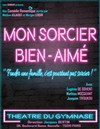 Mon sorcier bien aimé - 