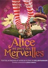 Alice aux pays des Merveilles - 