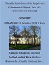 Voix et guitare - 