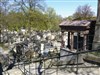 Visite guidée : Cimetière de Montmartre, L'envers du décor | par Paris Conteurs - 