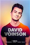 David Voinson - 