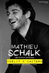 Mathieu schalk dans Délit d'imiter - 