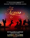 Nuit Tsigane 2012 - 