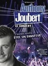 Anthony Joubert le concert | J'aurai voulu être un chanteur - 