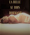 La belle au bois dormant - 