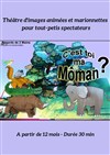 Dis...c'est toi ma môman? - 