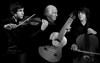 Le trio Dintrich - 