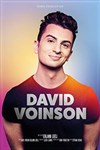 David Voinson - 