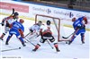 Lhc Les Lions / Dijon - 