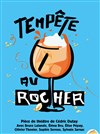 Tempête au rocher - 