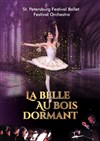 La belle au bois dormant | Brest - 