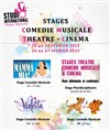 Stage théâtre, comédie musicale, Cinéma - 