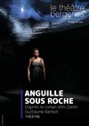 Anguille sous roche - 