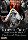 Rhinocéros - 