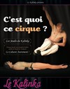 C'est quoi ce cirque ? - 