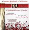 Saisons de Vivaldi - Concerto de Bach - 