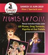 Plumes en folie - 