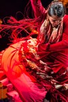 Spectacle flamenco traditionnel - 