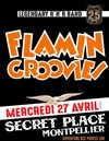 Flamin groovies - 