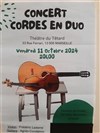 Concert cordes en duo, Violon & Guitare - 