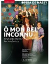 O mon bel inconnu - 